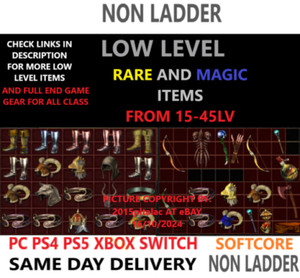 Blizzard Entertainment Diablo II Resurrected Hellfire Torch Paladin 20/19 ⭐ Non Ladder D2R SC Blizzard Entertainment Diablo II Resurrected Hellfire Torch Paladin 20/19 ⭐ Non Ladder D2R SC