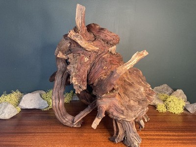 Large 19  Manzanita Driftwood Branch, Aquarium Terrarium, Decor, Burl
