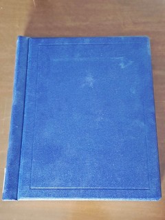 Europa ab 1850: Altes Album Klassik Sachsen England Frankreich viele Länder !H55