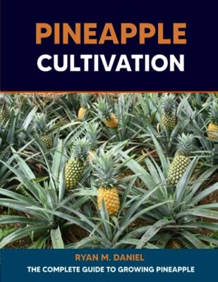 Daniel - Pineapple Cultivation  The Complete Guide to Growing Pineappl - X555z