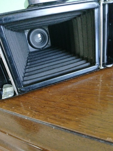Vintage Kodak Senior Six-20 Folding Camera - Picture 6 of 10