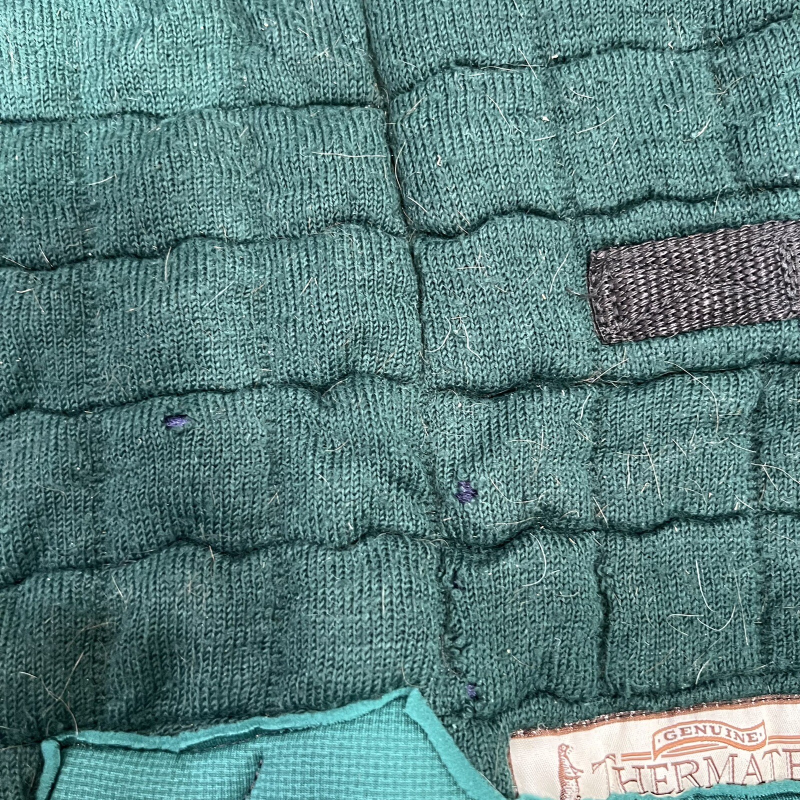 Thermatex Quilted W&H Gidden London Horse Stable Rug Blanket Dark Green