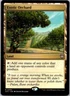 Magic the Gathering Exotic Orchard Outlaws of Thunder Junction Commander MTG