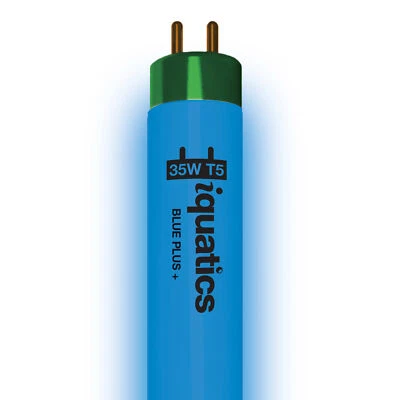 iQuatics Aquarium Fish Tank Fluorescent Bulb T5 Blue Plus+, 35w 742mm 30”