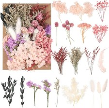 Nat&uuml;rliche getrocknete Blumen f&uuml;r DIY-Kreationen - Basteln mit echten Bl&uuml;ten ...