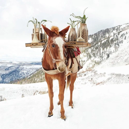 Cyan Design 08557 Hanging Around Bronze Container - Picture 2 of 3