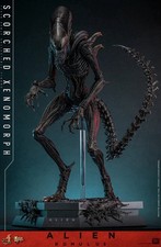 Hot Toys Alien Scorched Xenomorph Sixth Scale Figure MMS784