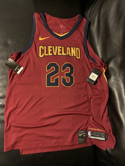 lebron cavaliers jersey