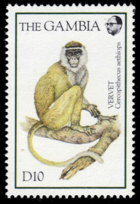 GAMBIA 1547 - Ververt Monkey 