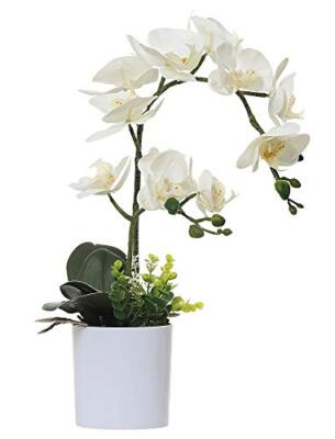 Orchidea In Miniatura Bianca E Malva, Vaso Tumdee, Per Case Delle Bambole In Scala 1:12, Handmade UK