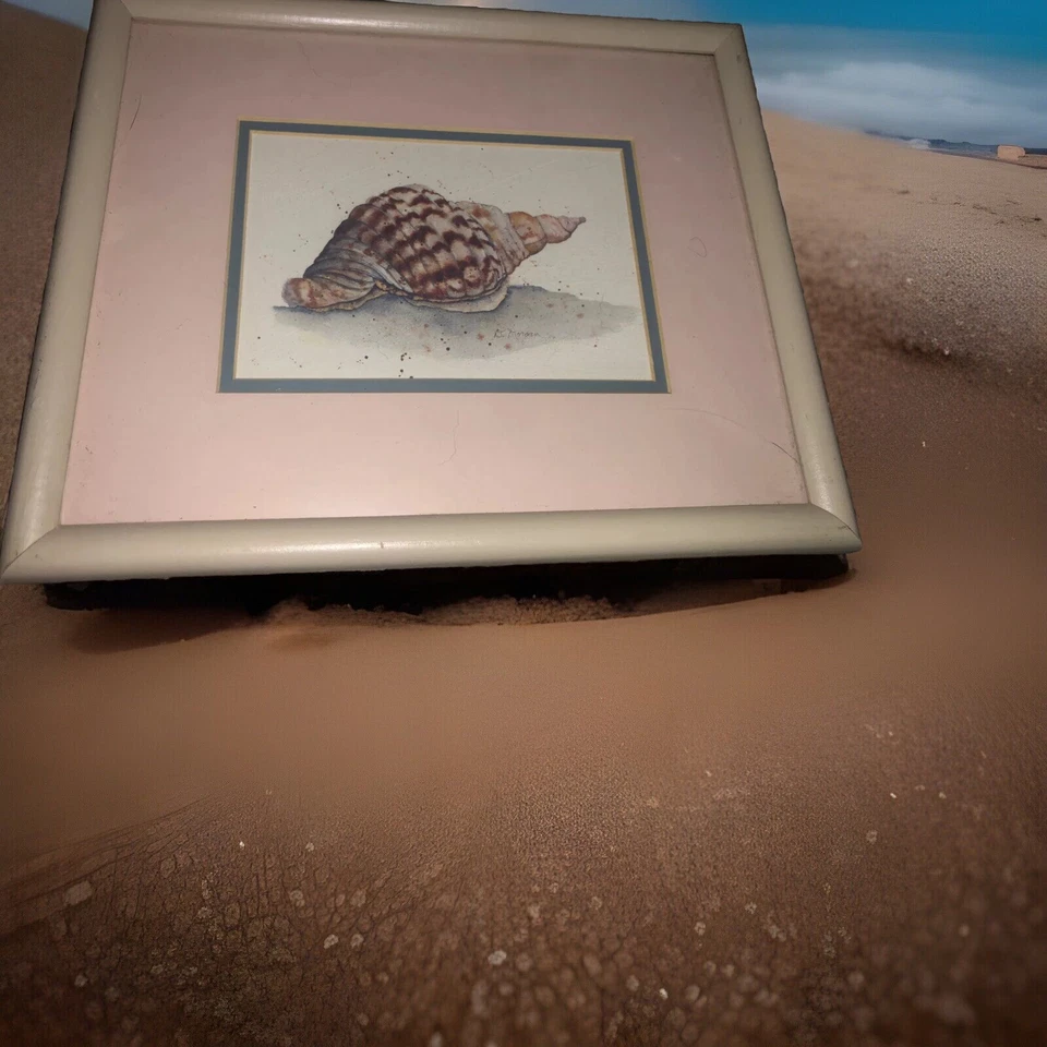 2pc Set Framed Wall Art Prints Picture Seashells. - Image 4 of 4