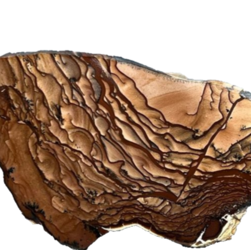 Polished Deschutes Picture Jasper Slab 5"x2.5" Lapidary Collect Slab Cabbing D1 - Picture 1 of 15
