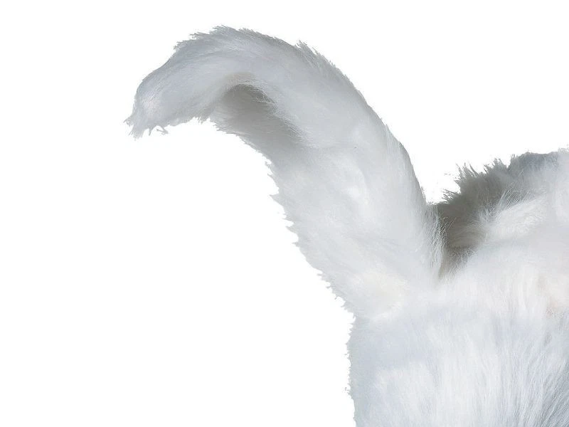 Gruselige weiße Kaninchen Häschen Maske beweglicher Mund Erwachsene über Kopf Halloween Kostüm neu - Bild 4 von 4