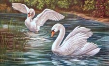 Diamond painting kit - Swan park by Diamondmosaic