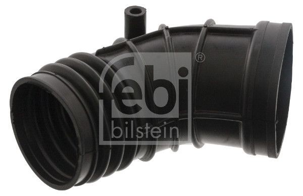 Febi Bilstein Ansaugschlauch Fuer BMW 46034-image