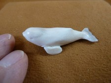 Whal-w136 little Beluga Whale of shed ANTLER figurine Bali detailed love whales