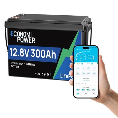 12V 300Ah LiFePO4 Tiefzyklus Akku Bluetooth 200A BMS Solar Wohnmobil Boot