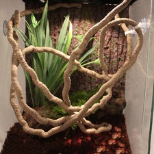 Flexible Terrarium Reptile Jungle Vines Bendable Decor Accessories 1M Long