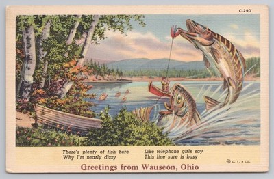 Greetings From Wauseon Ohio Comic Fishing Exaggerated Fish c1940s Postcard