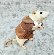 Rat Taxidermy Oddities St. Francis of Assisi