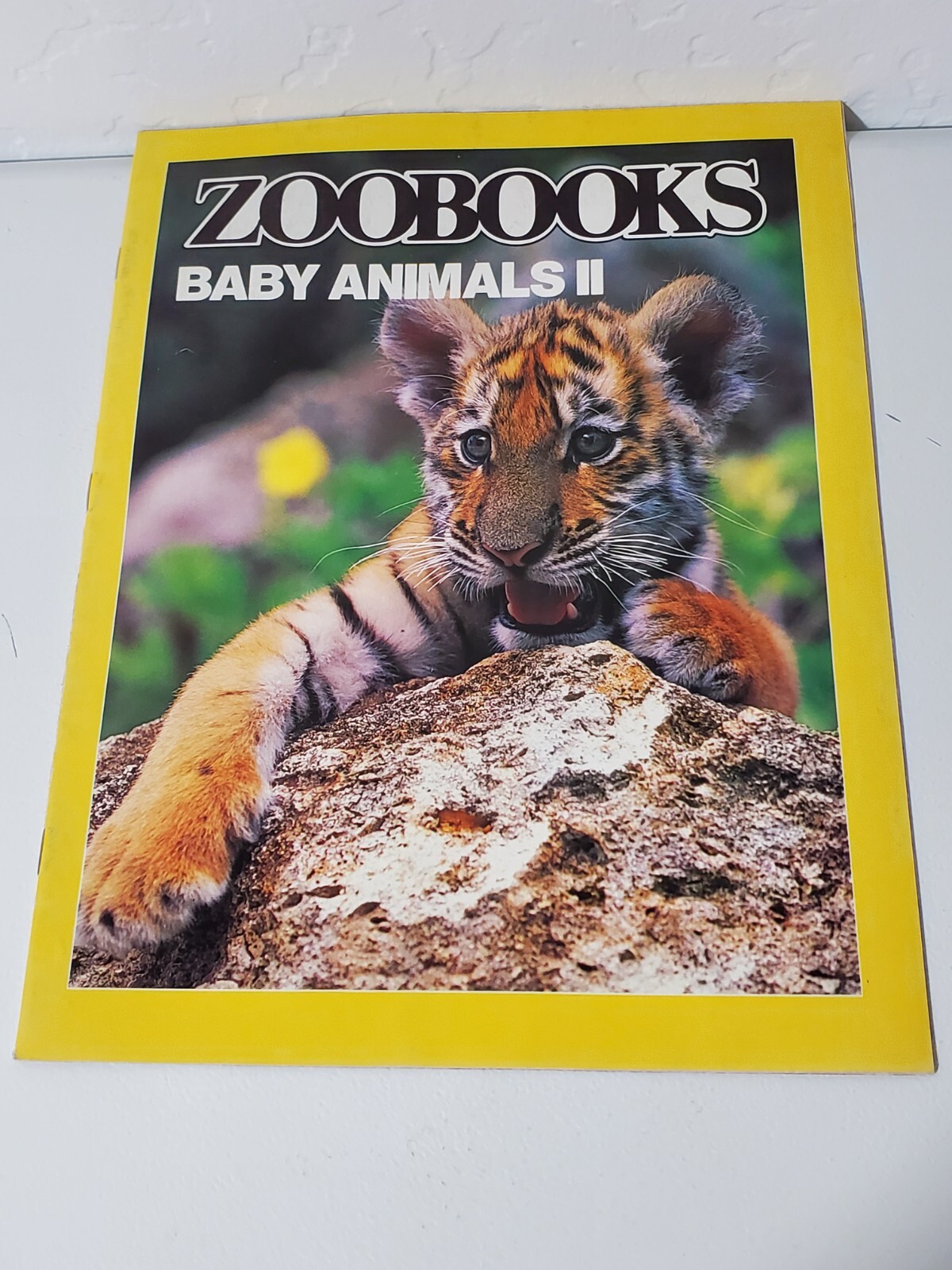 ZooBooks Vintage Pandas, Hippos, Insects, Eagles,Rattle Snakes, snd