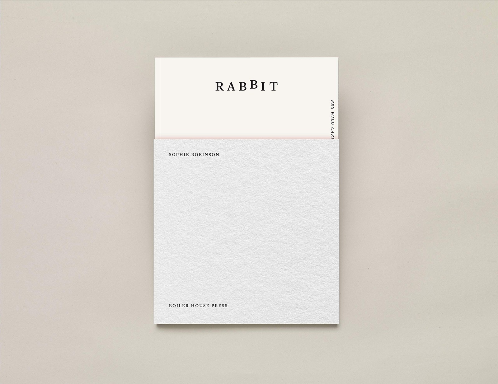 Rabbit by Sophie Robinson PAPERBACK 9781911343455 - Image 6