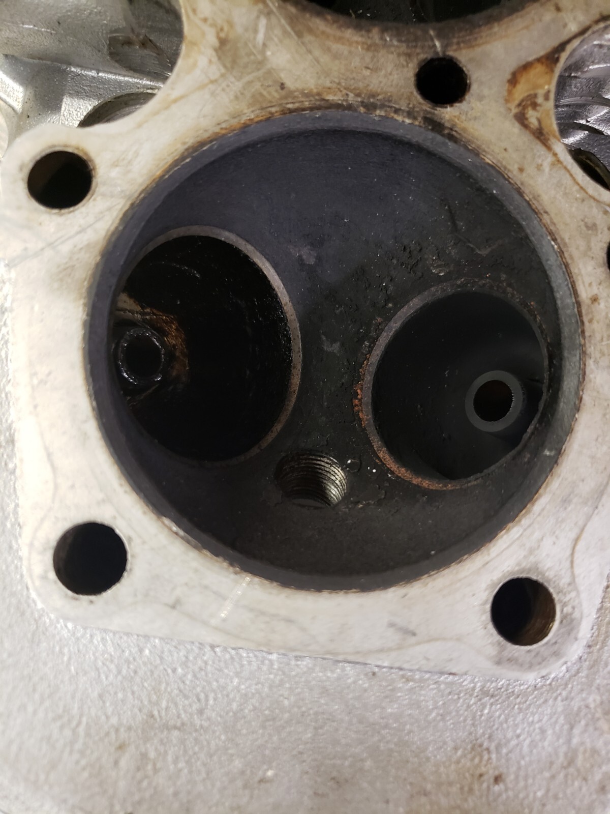 Triumph 650 Tr6 Cylinder Head eBay