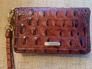 brahmin debi wallet