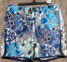 Nike Mens Board Shorts Trunk Blue Gray Drawstring Size L