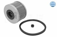 Meyle Kraftstofffilter FüR Renault Clio Ii,Kangoo,Laguna I,Megane I,ScÉNic I