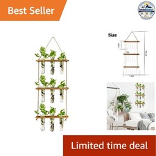 Wall Hanging Propagation Station 9 Tube Vases Wooden Stand Glass Decor