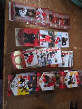2026 TEAM CANADA TIM HORTONS HOCKEY CARD LOT