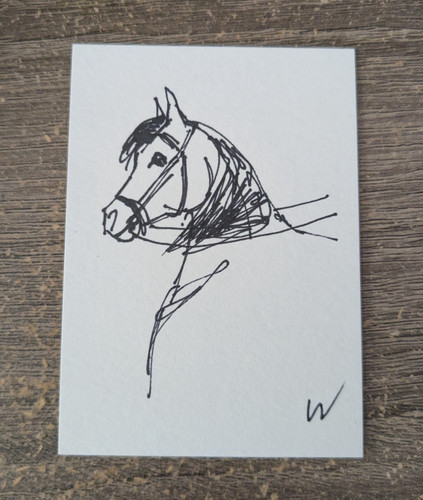 ACEO Original Horse with Bridle Marker Drawing Equine Art Card OOAK WACHTEL