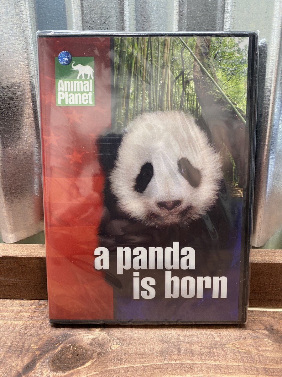Panda Is Born & Baby Panda's First Year [DVD](中古品) Animal Planet: A Panda is Born - 2005 New Sealed DVD Smithsonian