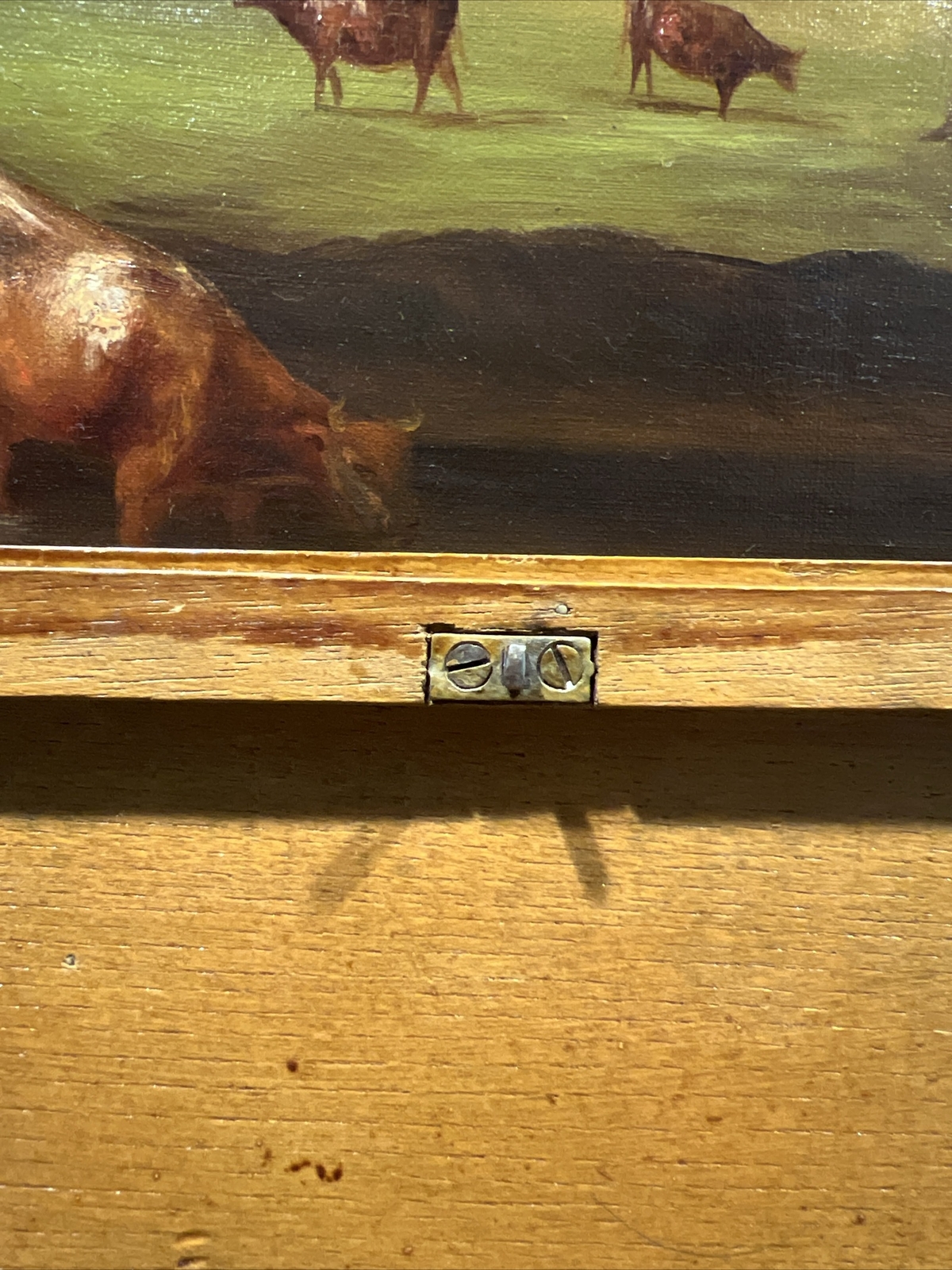 Picture 19 of 20
