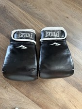 Everlast 12 oz. Sparring Gloves - Black L/xl