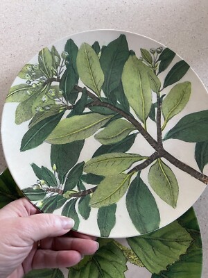 more plates more dates melanotan John Derian botanical melamine dinner plate Target 10.5