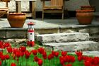 Bild 9 von 9