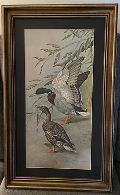 Basil Ede  Moorhen and Mallard  1960s Matted,Framed 32''X19.5'' Print is 25''x12''