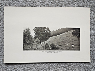 Two Miles Southeast of Clearfield, Pennsylvania - antiker Druck - 1919