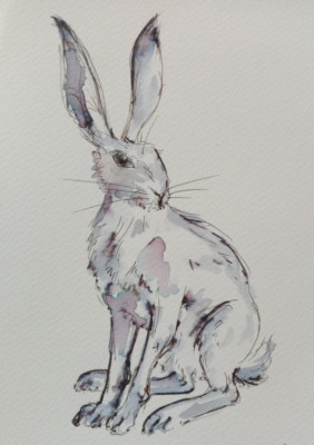 Original Pen & Ink Wash Illustration Zeichnung kleine Skizze eines Hasen auf Papier