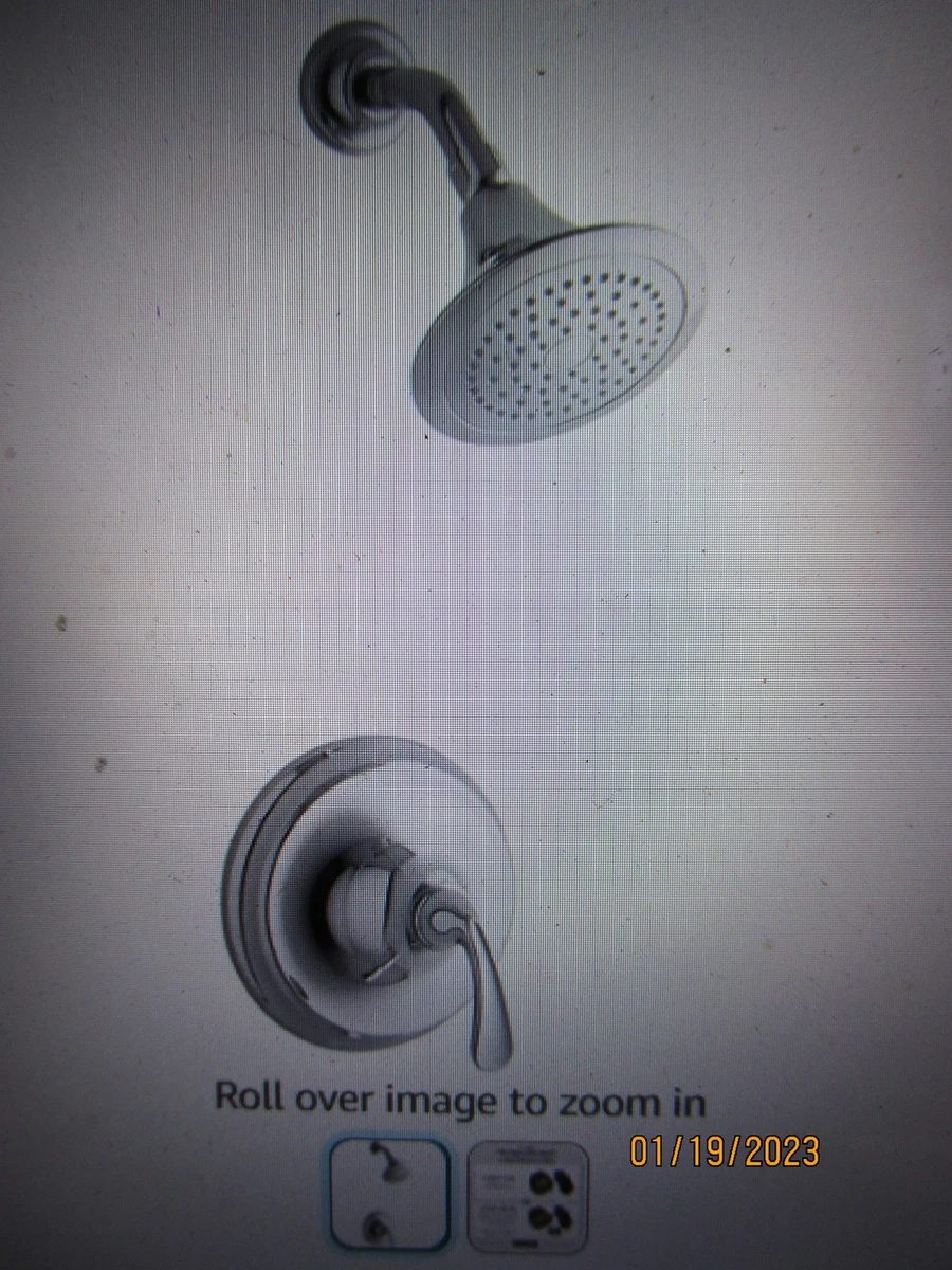 Kohler forte sale shower head