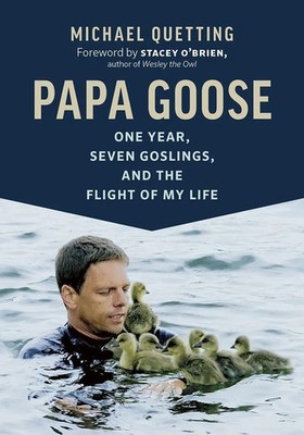 Papa Goose | One Year, Seven Goslings, and the Flight of My Life | Quetting