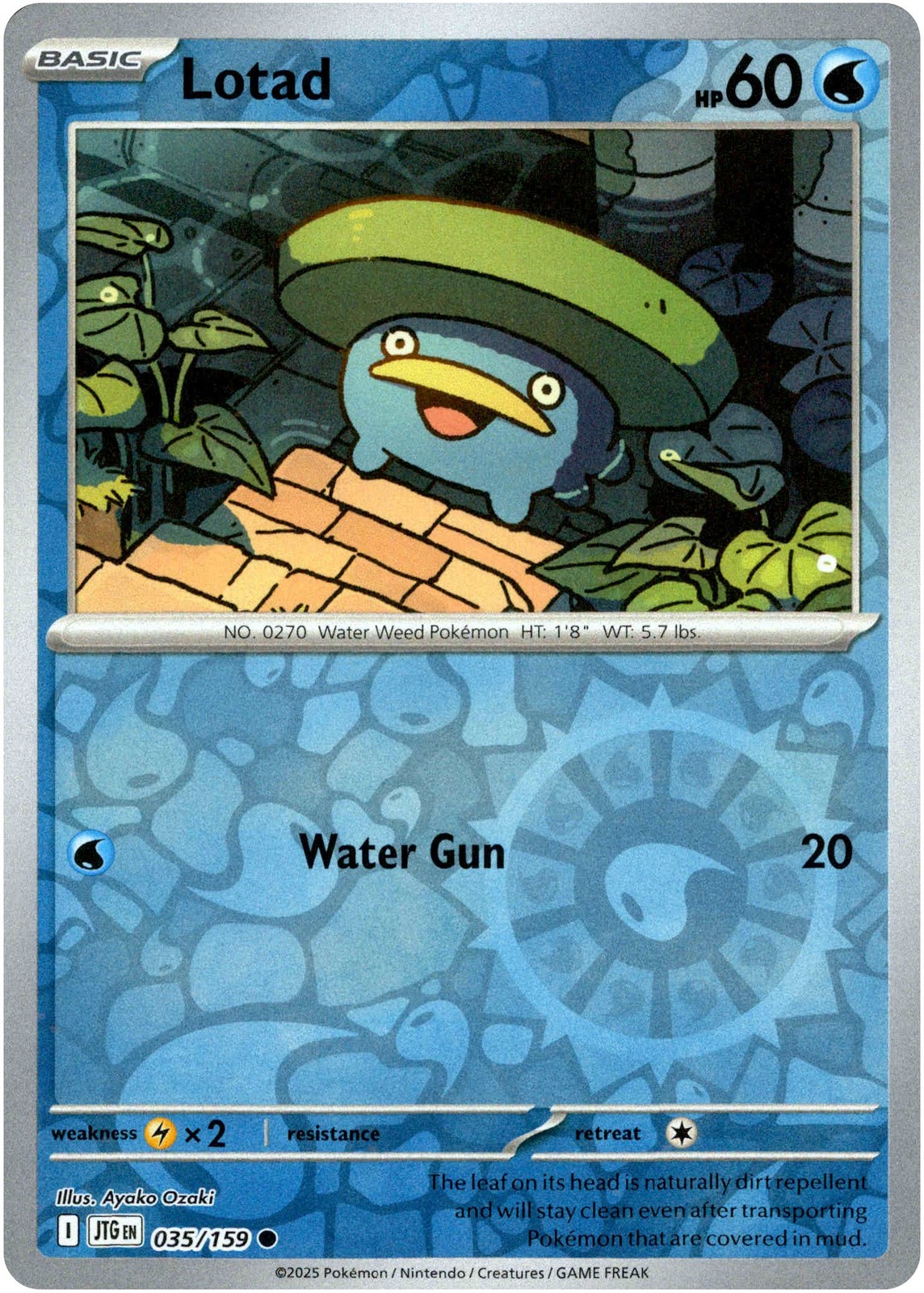Lotad - 035/159 - Journey Together - Reverse Holo
