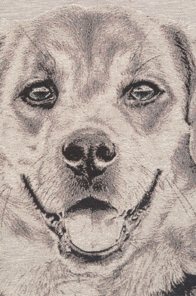 Fundas de almohada de cojín de tapiz con acento jacquard Happy Canine II (nuevas) 16x16 pulgadas Foto 4 de 4