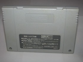 Sim Ant SimAnt Super Famicom Japan SFC import US Seller