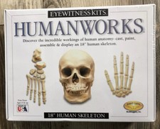Eyewitness Kit Humanworks - 18" Human Skeleton NIB