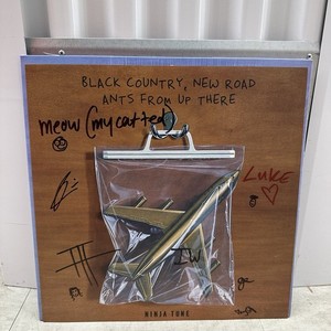 Black Country New Road Vinyl | eBay