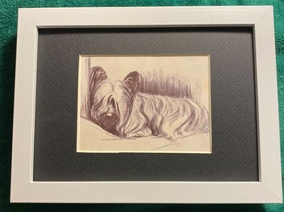 Skye Terrier MATTED | FRAMED | READY TO GIFT - 1986 Vintage Dog Art Print W