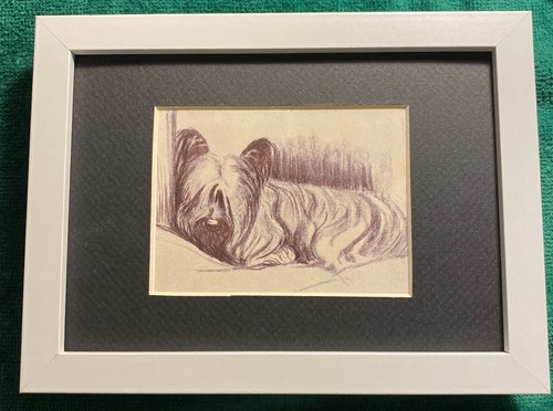 Skye Terrier MATTED | FRAMED | READY TO GIFT - 1986 Vintage Dog Art Print W